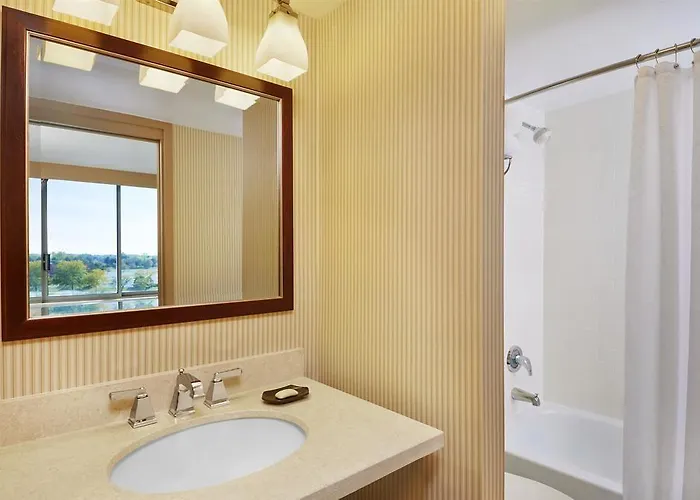 Hotel Sheraton Chicago Elk Grove 4*
