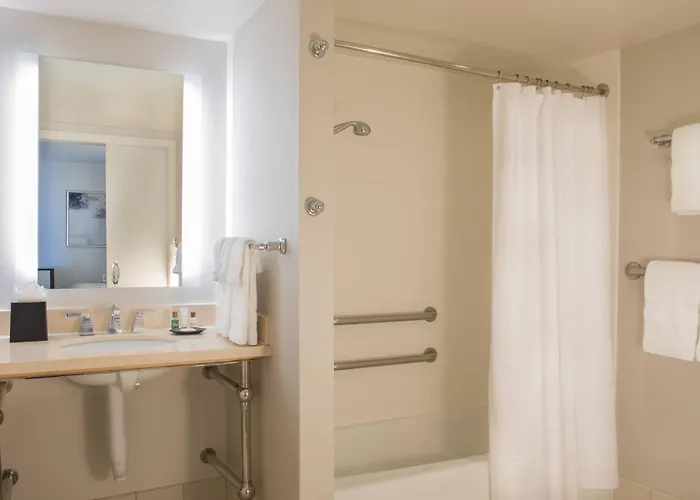 Sheraton Chicago Elk Grove Hotel 4*
