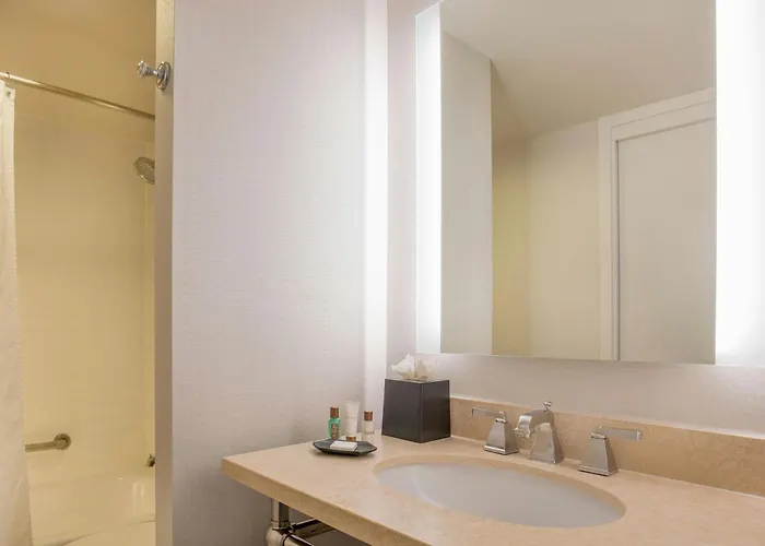 Hotel Sheraton Chicago Elk Grove 4*