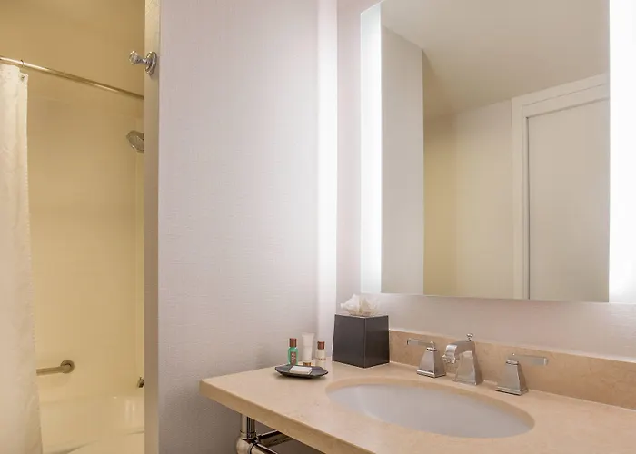 Hotel Sheraton Chicago Elk Grove 4*