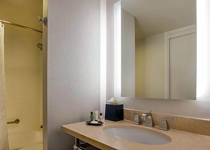Sheraton Chicago Elk Grove 4*