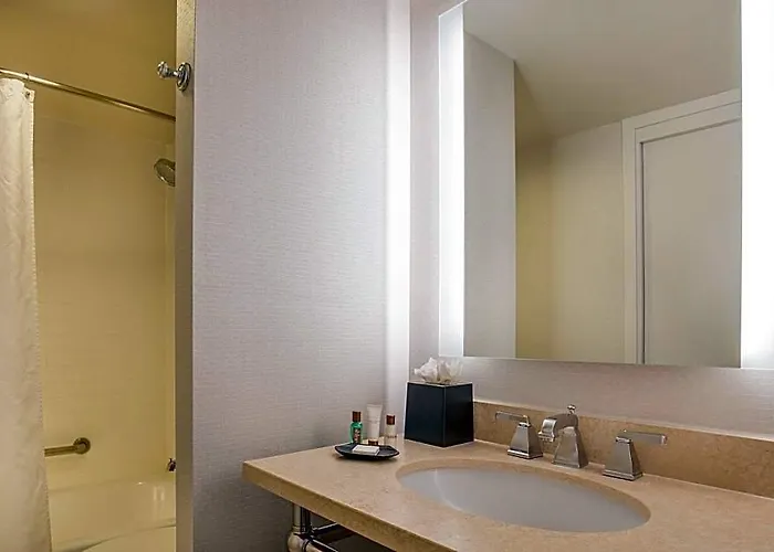 Sheraton Chicago Elk Grove Hotel 4*