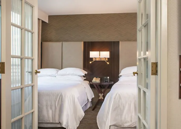 Sheraton Chicago Elk Grove Hotel