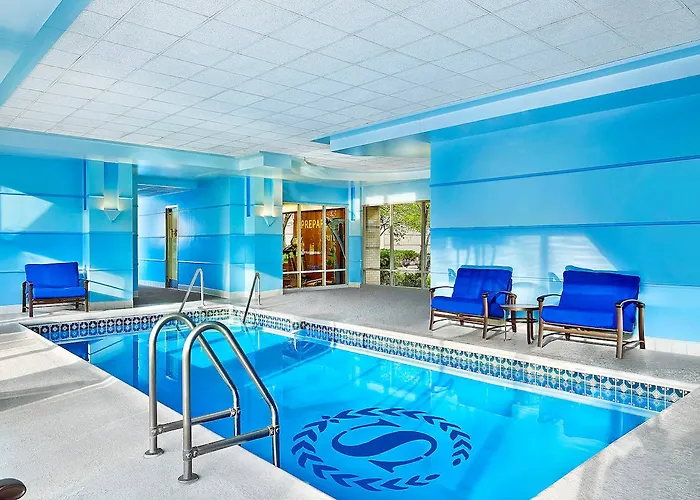 Hotel Sheraton Chicago Elk Grove 4*